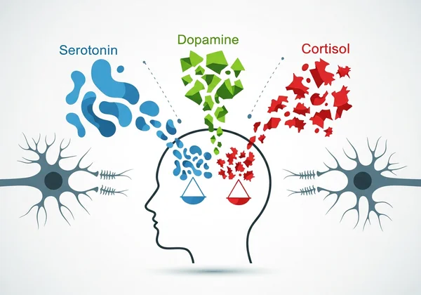Neurotransmitters influencing mood